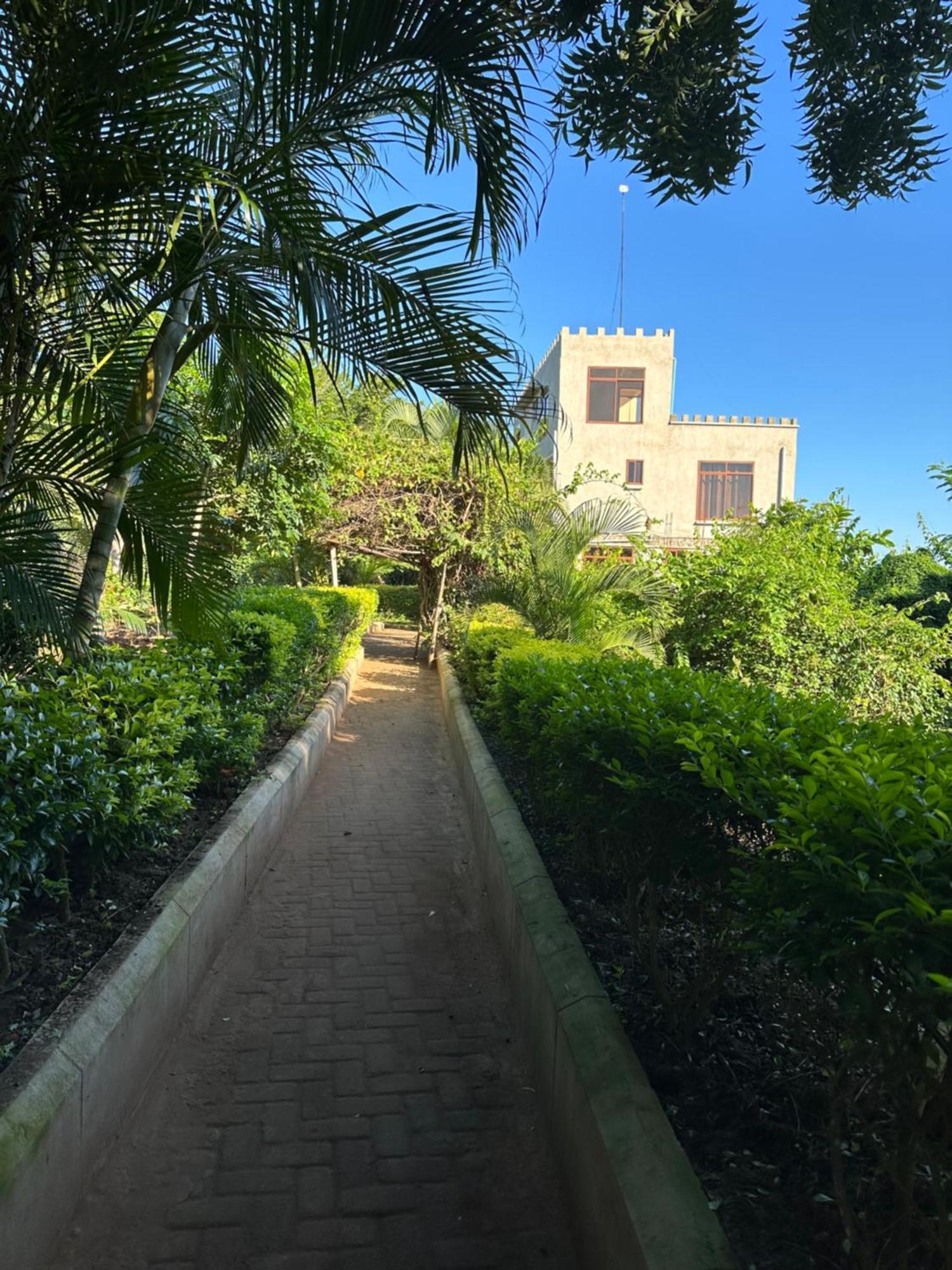 Mikoko Beach & Cottages Bagamoyo Exterior photo